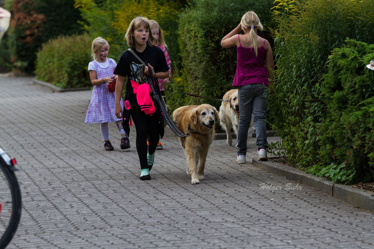Bild 378 - Vogelschiessen